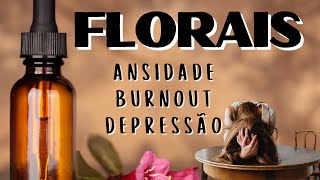 FLORAIS DE MINAIS PARA ANSIEDADE E BURNOUT: uma verdadeira aula