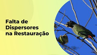 O QUE FAZER QUANDO FALTAM DISPERSORES NUMA ÁREA RESTAURADA?