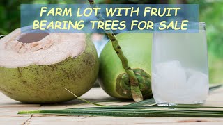 #90 HOLD - FARM LOT W/FRUIT BEARING TREES for Sale in Laguna Philippines