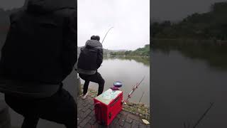 I caught the big fish🐟 Carp fishing🎣 Best fishing video #shorts #fishing 4