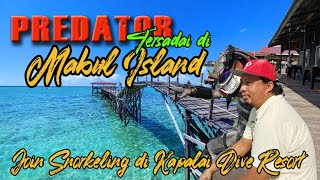 PULAU MABUL : MENGINAP DI SIPADAN KAPALAI DIVE RESORT | The Best Snorkeling