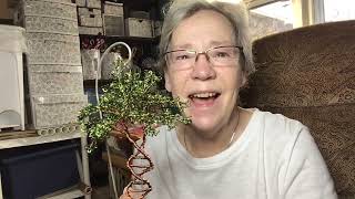 Artist of Only Trees ( Part one of creating a DNA wire Tree)