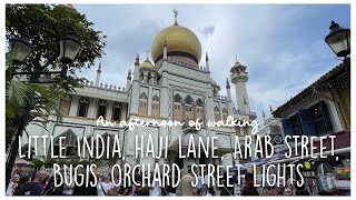 Walking Tour in Singapore - Little India, Haji Lane, Arab Street, Bugis