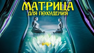 Сильнейшая Матрица Гаряева для Снижения Аппетита 🌀 с Гипнотической Медитацией для Похудения