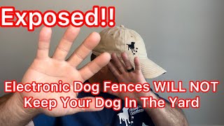 Will an In-Ground Dog Fence work for my dog? - Do invisible fences work?