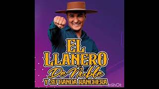 el llanero de ñuble y su banda ranchera en vivo en teletón chillan 2023 audio "suavecito