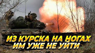 Из Курска на ногах они уже не уйдут - Новости