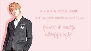 EXO-M - Don't Go (蝴蝶少女) (Color Coded Chinese/PinYin/Eng Lyrics)