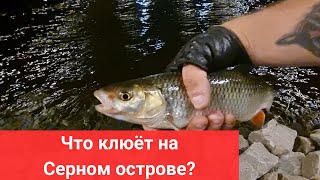 #81 #спиннинг Что ловится с Серного острова?