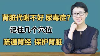 肾脏代谢不好、尿毒症？记住几个穴位疏通肾经，保护肾脏