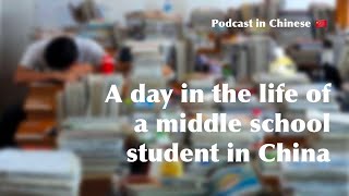 [Podcast in Chinese] Interview with a Chinese Middle School Student about her life at school