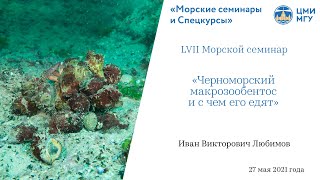 LVII Морской семинар — «Черноморский макрозообентос и с чем его едят»