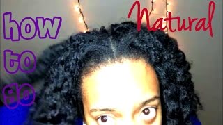 How to go Natural for Beginners + Tips!