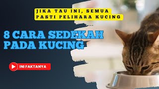 Keajaiban dalam bersedekah