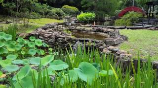 Water Garden Alabama