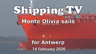 Monte Olivia sails for Antwerp, 14 February 2020