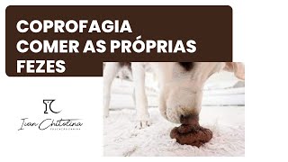 CACHORRO QUE COME AS FEZES - COPROFAGIA