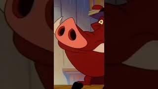 ¿Sabes Qué animal Es Timón y Pumba Del Rey León?