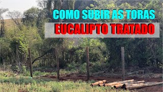 Construindo uma chácara do zero - Como subimos as toras de eucalipto tratado - Ep. 04