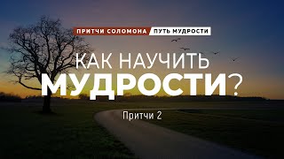 Путь мудрости: 2. Как научить мудрости? | Пр. 2 || Андрей Зубарев