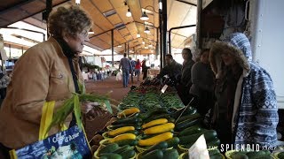 Lynne Rossetto Kasper in Five Foods