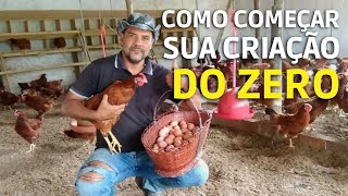 COMO COMECAR SUA CRIACAO DE GALINHAS DO ZERO #galinhacaipira #criacaodegalinhas #galinha