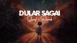 Dular Sagai Full Song || Slowed + Reverb || Santali love you || Shiv soren & Amrita Monalisha soren