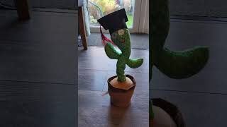 Animated Graduation Cactus