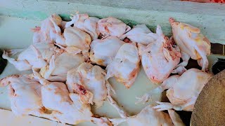 AYAM FRESH 16EKO POTONG12 || KEMAHIRAN POTONG AYAM PALING CEPAT DAN BERSIH