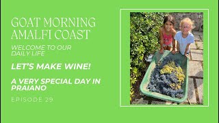 LET'S MAKE WINE! - A VERY SPECIAL DAY IN PRAIANO | Goat Morning Amalfi Coast Ep 29