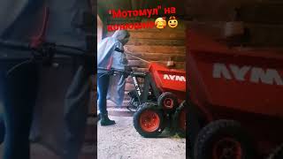 МОТОМУЛ НА КОНЮШНЕ. СПАСЕНИЕ ДЛЯ МОЕЙ СПИНЫ😍🤠🥰