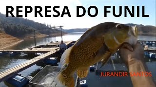 REPRESA DO FUNIL: TUCUNARÉ FEZ A VARA BEBER ÁGUA