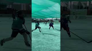 Ice Hockey League 2023