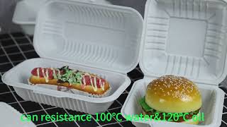 Dispos Lunch Gift Packaging For Biodegradable Bamboo To Carry Food Box +8613583554035