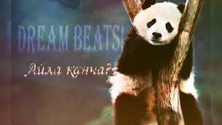 Daniel DreamBeats - Айла канча?