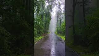 #rain #view #foryou#scenery