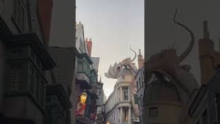 Universal vibes🤩🤩🤩 #popular #crazy #shortvideos #viralvideos #universal #harrypotter #florida