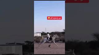 خيال متمكن وواثق من جواده 🔥🐴