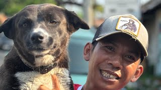 Каждый день кормлю бездомных собак и спасаю брошенных щенков 🐾❤️🙏.