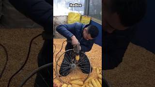 que truco tan asombroso es este #shorts #shortvideos #facts #hechos #ytviral