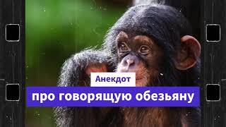 Анекдот про говорящую обезьяну / анекдоты про обезьяну