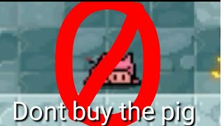 Do not buy the pig!!! | Soul Knight with Stanley.