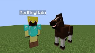 Skeppy Tricks BadBoyHalo With A New Horse - iDot SMP Highlights #4