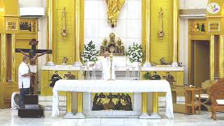 Holy Mass - Solemnity of the Most Holy Trinity