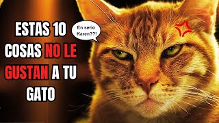 10 cosas que los GATOS ODIAN