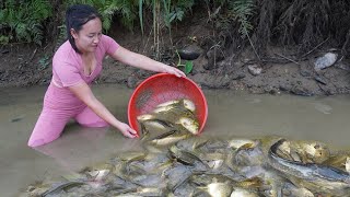 Fishing: Unique Fishing Use Pump To Suck Water Out Of The Pond - Catching a lot of fish with pump