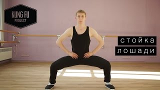 Стойка лошади - Kung Fu Project