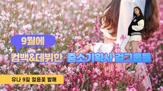 9월에 컴백&데뷔한 중소기획사 걸그룹들