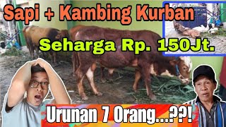 SAPI KURBAN Harga Fantastis, IDUL ADHA 1445 H.