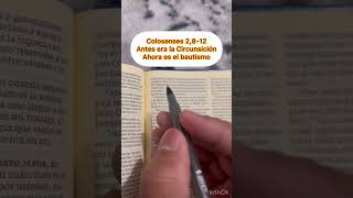 El Bautismo Según La BIBLIA! #Bautismo #BIBLIA #Católico #ApólogeticaCatólica